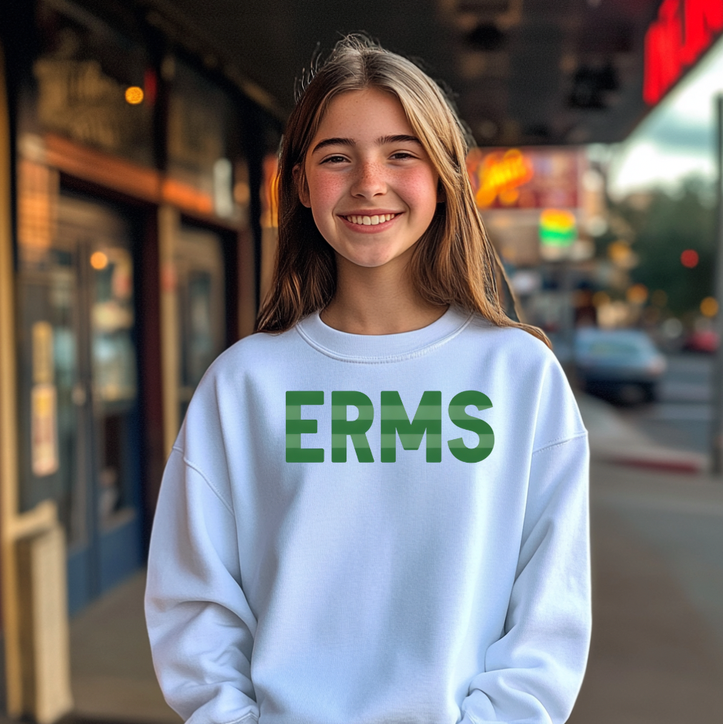 STRIPED eversole crewneck sweatshirt