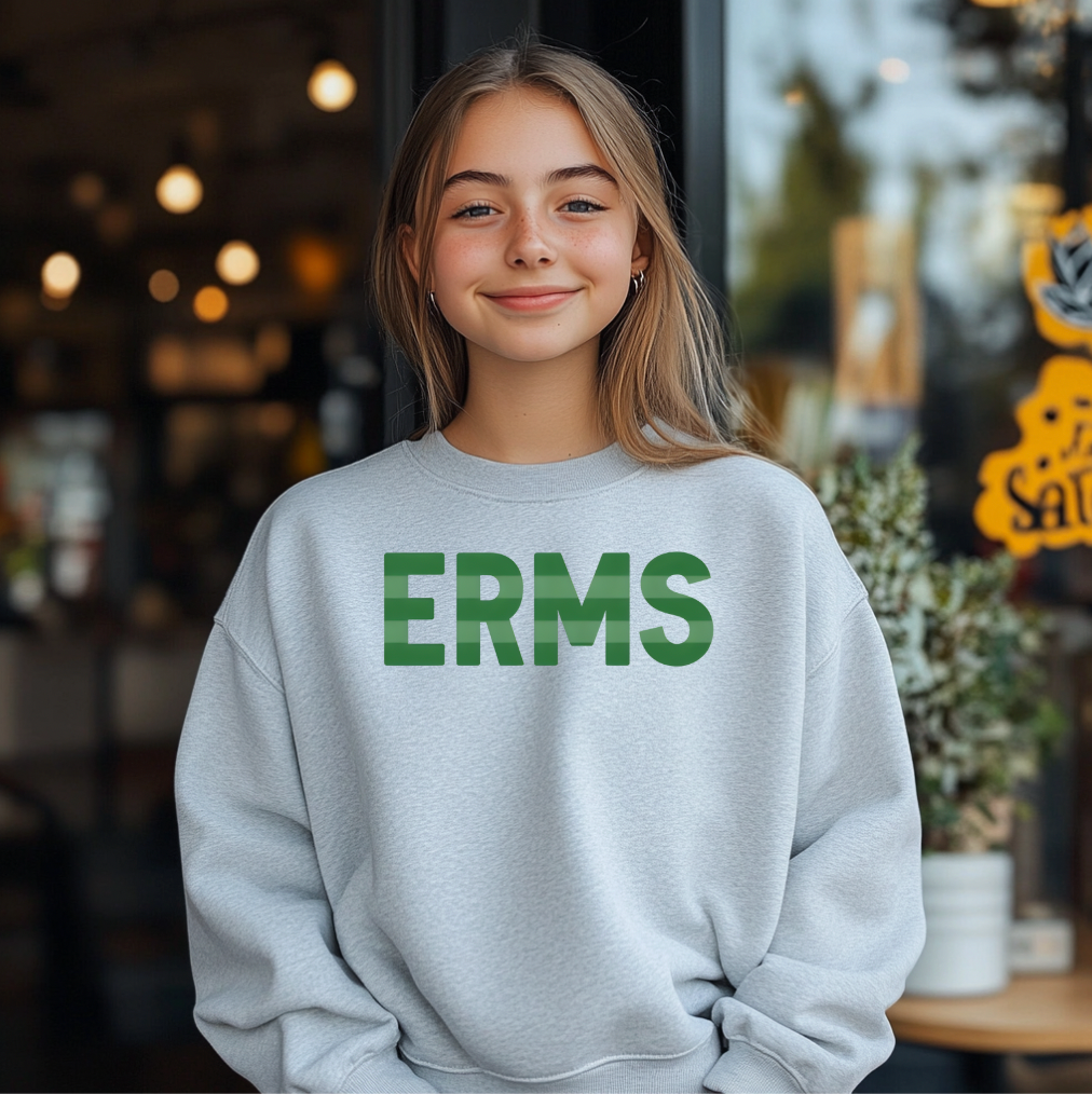 STRIPED eversole crewneck sweatshirt